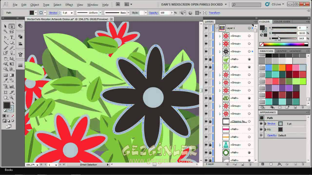 Adobe Illustrator CS5 Full Indir Gezginler
