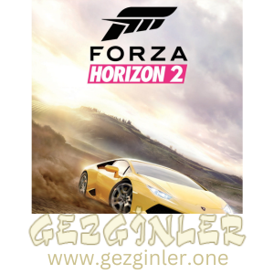Forza Horizon 2 Indir