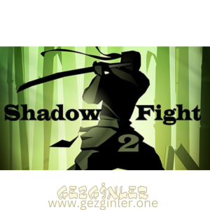 Shadow Fight 2 Apk Indir