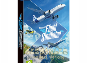 Microsoft Flight Simulator Indir