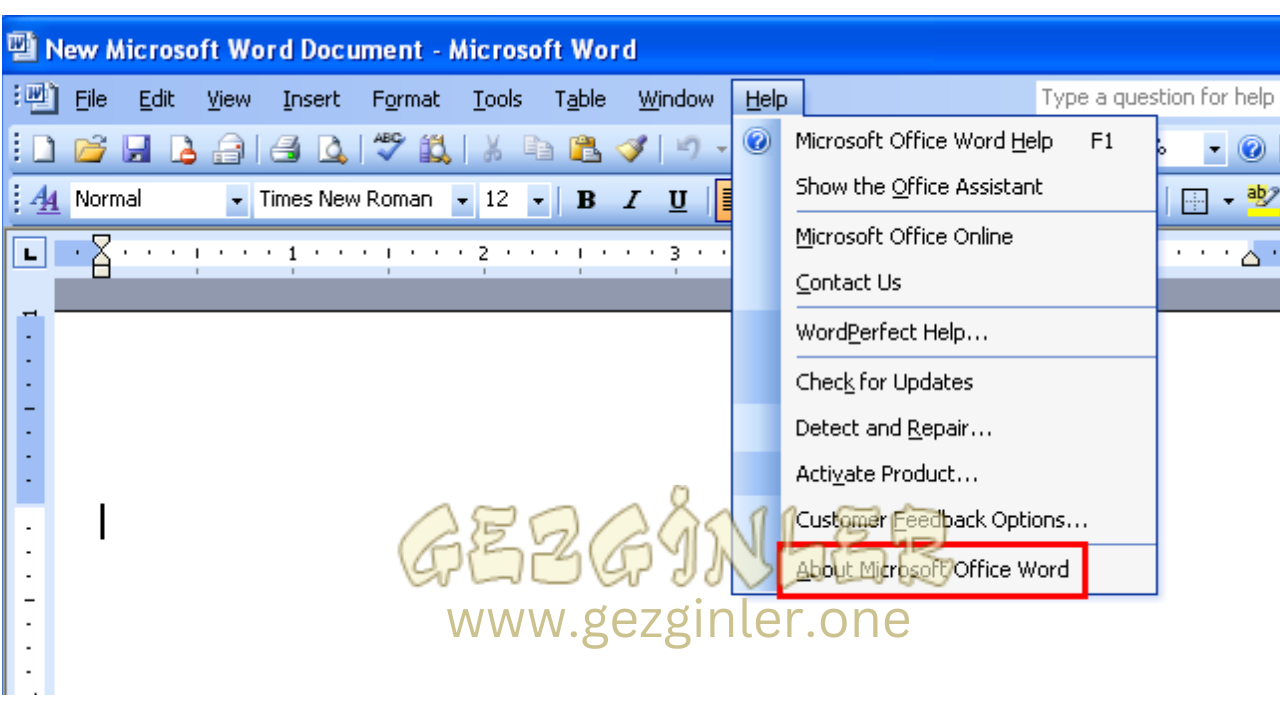 Новая версия word. Microsoft Word. Майкрософт ворд 2005. Microsoft Office Word 2003. Версии Word.