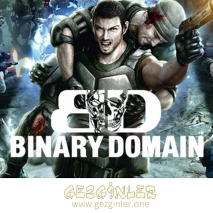 Binary Domain Indir