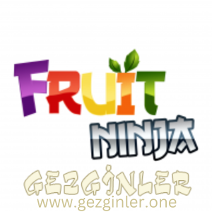 Fruit Ninja Indir
