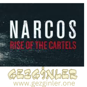 Narcos Rise of the Cartels Indir