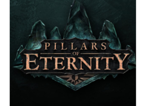 Pillars of Eternity 2 Indir