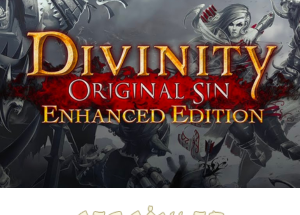 Divinity Original Sin Enhanced Edition Indir