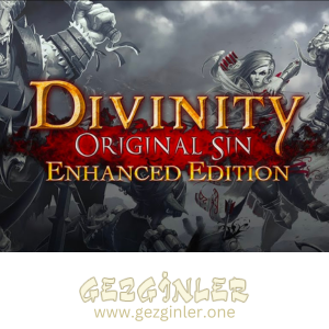 Divinity Original Sin Enhanced Edition Indir