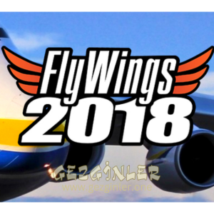 FlyWings 2018 Flight Simulator Indir